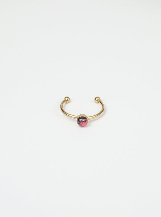 Anillo"Sardina"